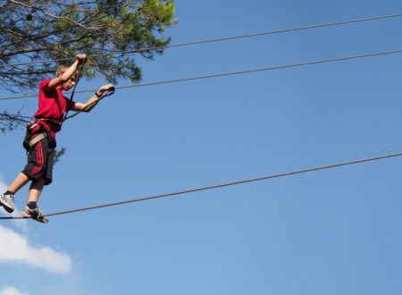 Parcours acrobatique en forêt